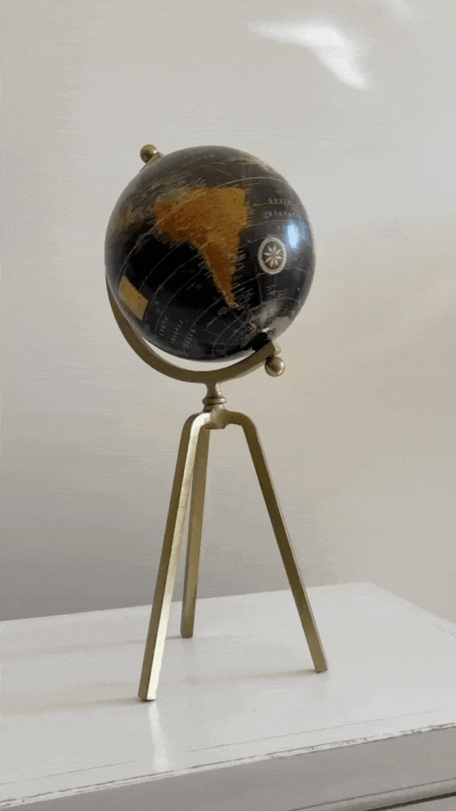 Bola del mundo negra