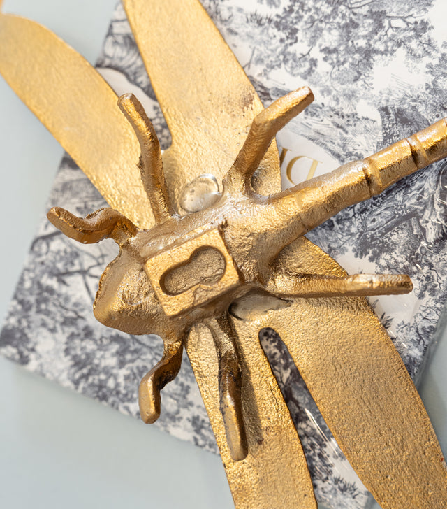 Libélula decorativa