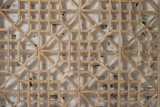 Panel
