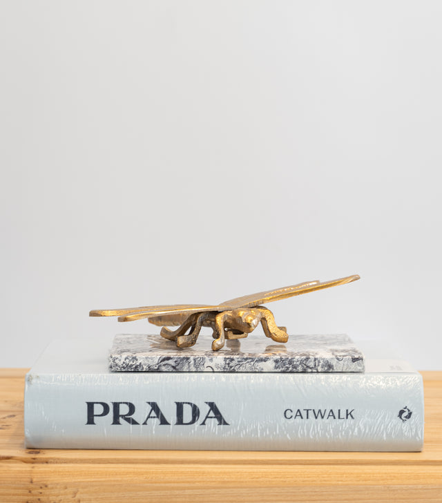 Libélula decorativa