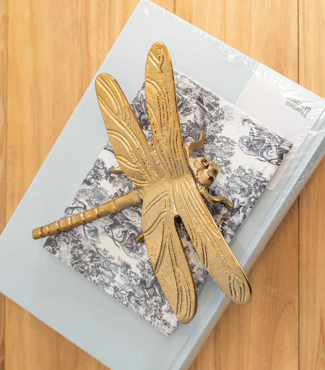 Libélula decorativa