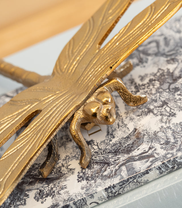 Libélula decorativa