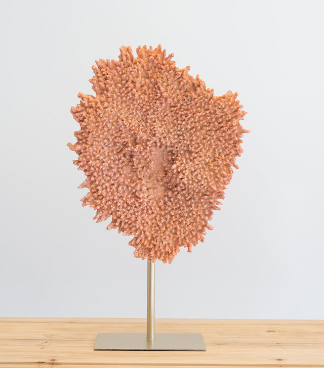 Escultura Coral Rizl