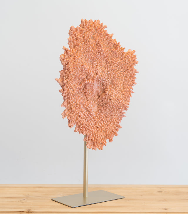 Escultura Coral Rizl