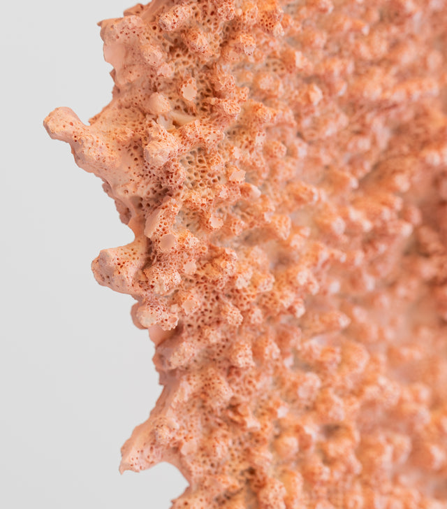 Escultura Coral Rizl