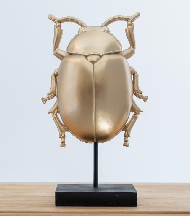 Escarabajo decorativo