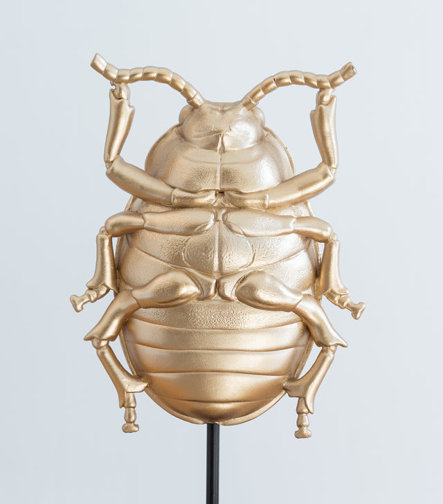 Escarabajo decorativo