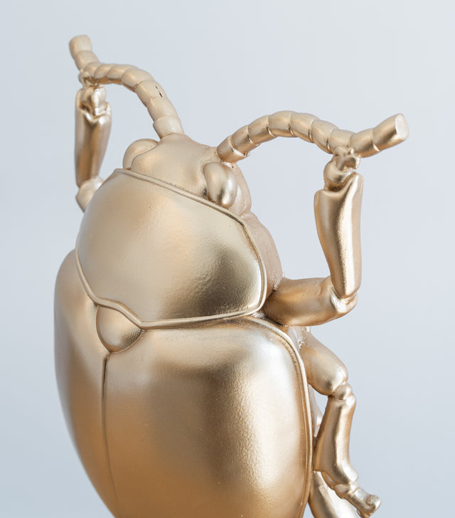 Escarabajo decorativo